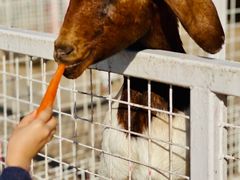 -金庭庄园酒店-停车场