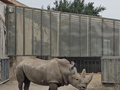 -新疆天山野生动物园