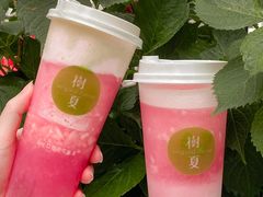 -树夏(建设路店)