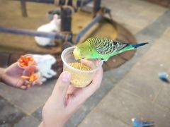 -哈尔滨波塞冬海底世界