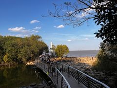 -上海吴淞炮台湾国家湿地公园