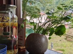 -曾福兴