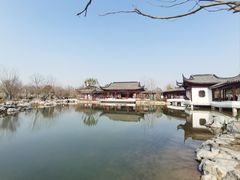 -上海滨江森林公园