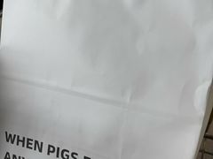 -WHEN PIGS FLY当猪飞
