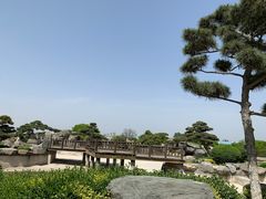 -中国唐苑