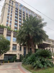 -重庆安琪儿妇产医院-妇幼保健联盟医院