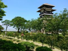 -大湾区中央湿地公园