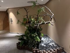 -春晖园度假酒店温泉