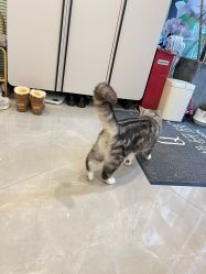 -倩极·精研痘敏肌管理