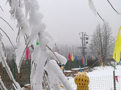 -河北村民俗体验园