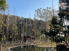 -艾溪湖湿地公园