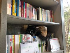 -谷咖啡·鲜花绿植花园餐厅
