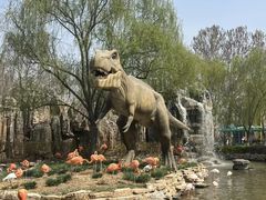 -北京野生动物园