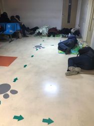 -首都医科大学附属北京儿童医院