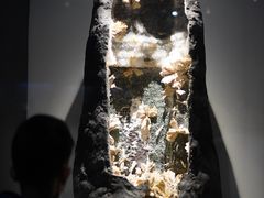 -重庆自然博物馆(新馆)