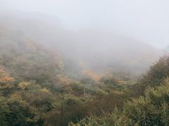 -秦岭风景区