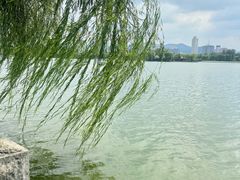 -济南大明湖景区