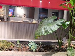 -陈熹公民族美食文化餐厅(中华广场店)