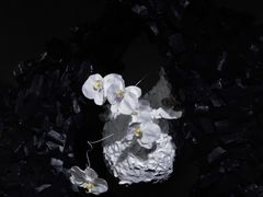 -成都许燎源现代设计艺术博物馆