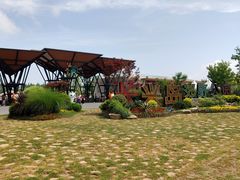 -上海长兴岛郊野公园