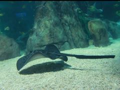 -常州海昌海洋探索馆