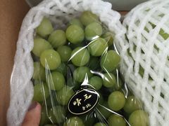 -上海龙吴水胜海发市场