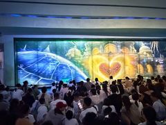 -海合安成都极地海洋公园