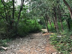 -北京鹫峰国家森林公园