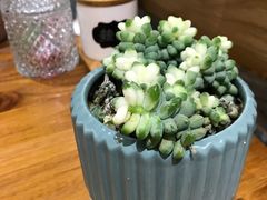 -囿面传统制面馆(中央路店)