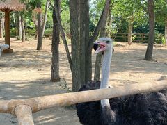 -大连森林动物园