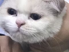 -潮发潮汕牛肉店(龙洞店)