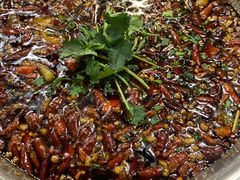 -辣螃铠盆盆蟹大排档(总店)