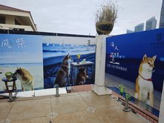 -青岛第三海水浴场