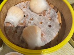 -香港威特瑞茶餐厅(小白楼音乐厅店)