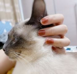 -Pink You美甲洗眉纹绣定制中心