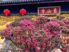 -惠山古镇·寄畅园