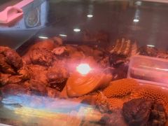 -二王核桃肉