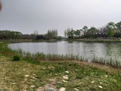 -大兴滨河森林公园