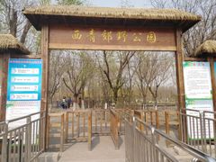 -西青郊野公园