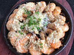 -云中小雅