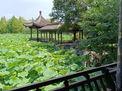 -高子水居