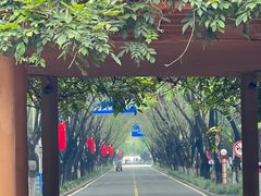 -沙澧河风景区