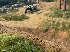 -杭州野生动物世界