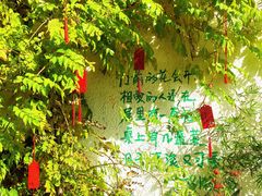-懒人盐府人家·自贡大麻鱼(安贞店)