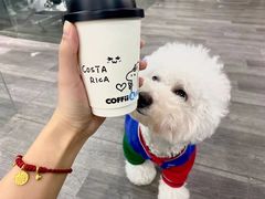 -COFFii&JOY(龙江新城市广场店)