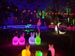 -枫花园汽车电影院(朝阳公园店)