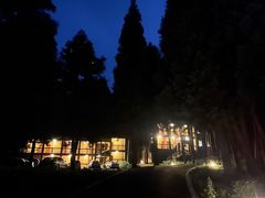 -武陵山森林公园