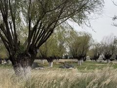 -汉长安城未央宫国家考古遗址公园