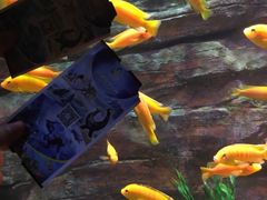 -多彩贵州城极地海洋世界