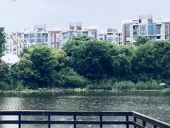 -新江湾城公园